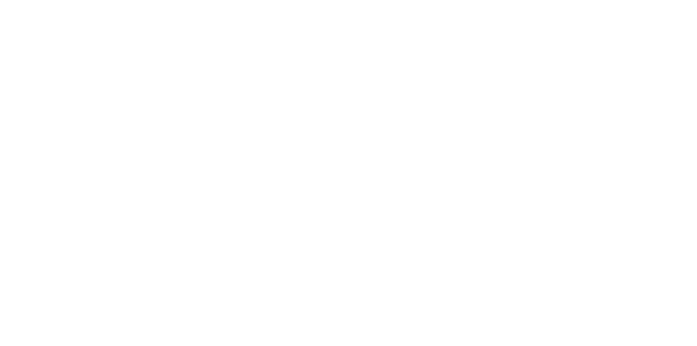 International Native Casting B.V.